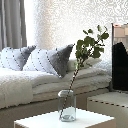 Finland Spacious Downtown - One Bedroom, Private Sauna And Great Location In Downtown Apartment